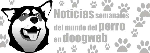 #Noticias de #Perros de la semana: Viajar con perros por Extremadura, bebé y perro viven como hermanos, detienen a una chica con un chihuahua robado, ha muerto Uggie...