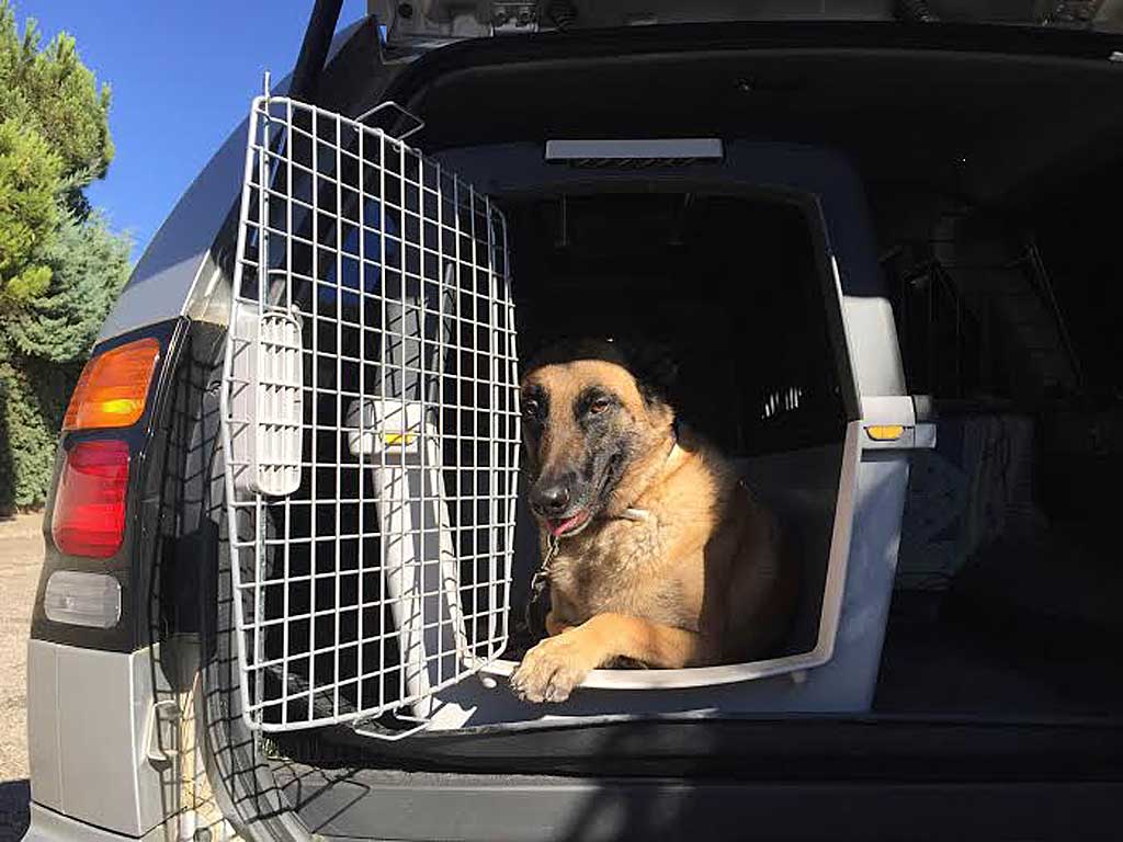 Transportín de perro grande para el coche - Vacaciones con Perro