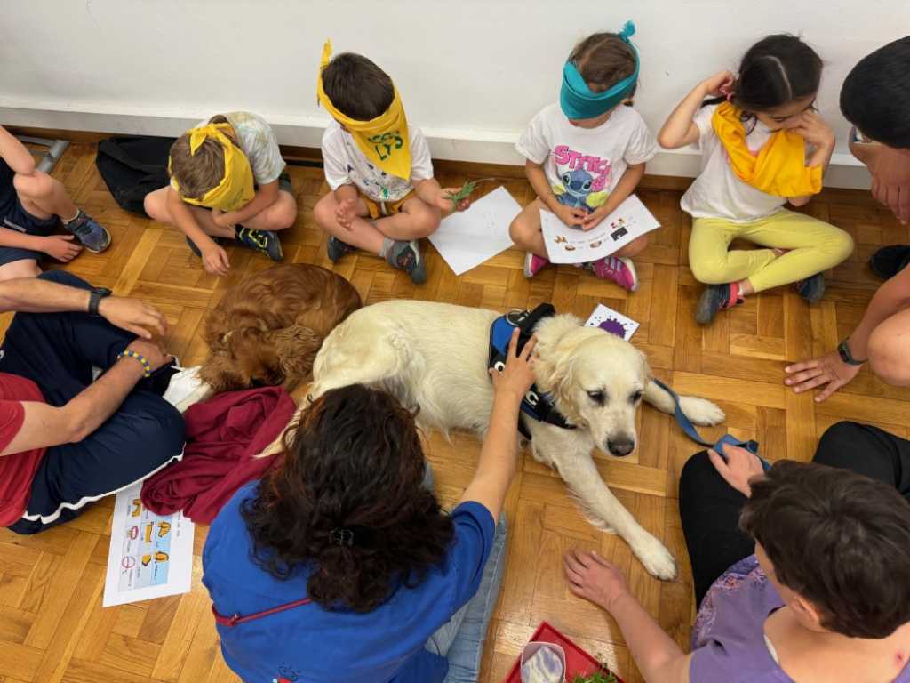 Sesiones de lectura inclusiva con perros de terapia.